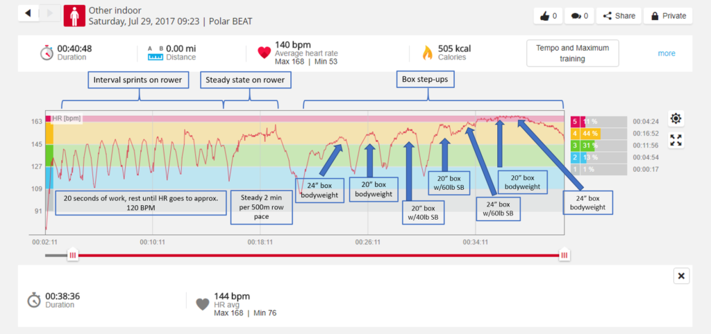 Analysis of Rowing versus Box Step-ups on Cardiovascular Endurance